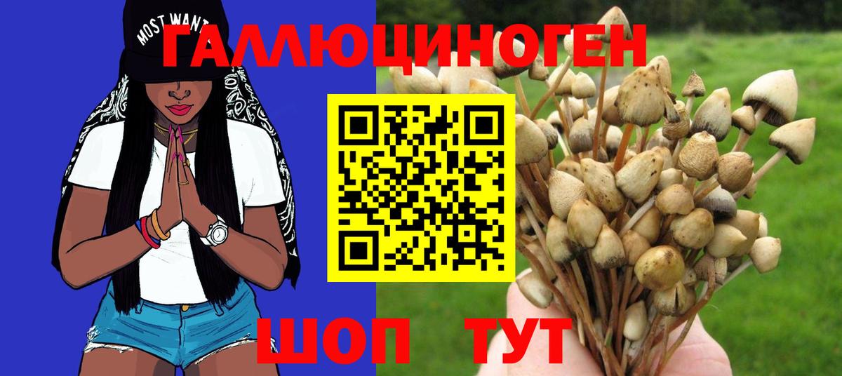 Псилоцибиновые грибы Psilocybe  Вход с VPN  Тольятти 