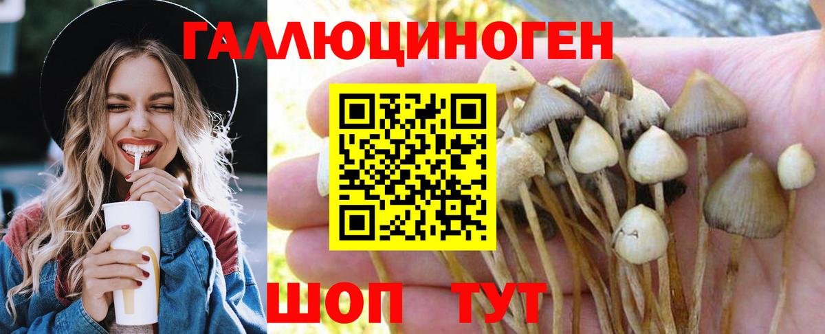 Псилоцибиновые грибы MAGIC MUSHROOMS Тольятти